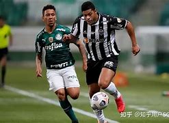 里约热内卢主场告捷，巴西甲联赛排名攀升的简单介绍